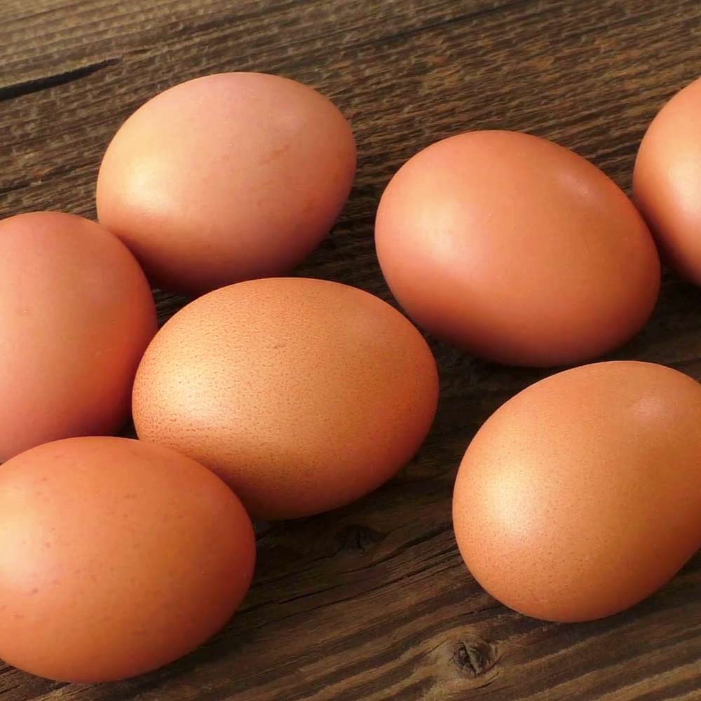 Ophelia's Farm — Presale | Pasture-Raised Brown Eggs (1 Dozen)